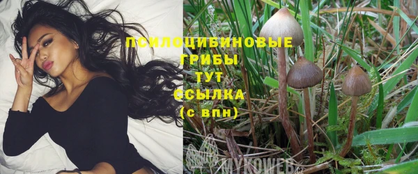 метамфетамин Алзамай