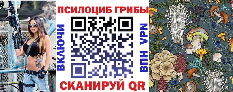 Галлюциногенные грибы Cubensis  купить наркотик  Гдов 